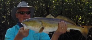 Redfish Are Gorgeous In The Everglades